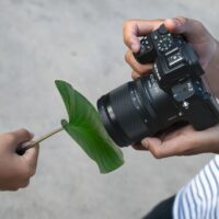 Nikon Z DX 16-50mm f/2.8 VR Lens - Görsel 2