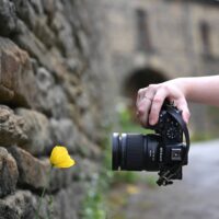 Nikon Z DX MC 35mm f/1.7 Lens - Görsel 2