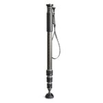 Gitzo GM2542 Monopod 4 Kademeli