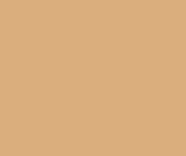 Lastolite 9025 2,72X11M. Paper Sandstone Karton Fon - Görsel 2